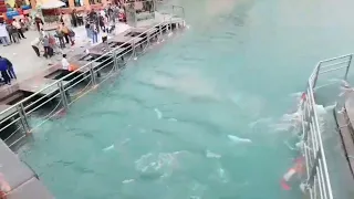 Haridwar ganga snan. ganga snan Mela 2023 holly ganga snan. ganga snan new