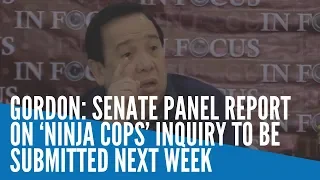 Gordon: Senate panel report on ‘ninja cops’ inquiry to be submitted next week