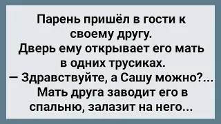 Мать Соблазнила Друга Своего Сына! Сборник Свежих Анекдотов! Юмор!