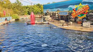 SEA LION BAY at Chessington World of Adventures