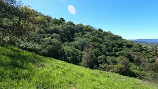 Scenic Relaxation Walk to the hills 4K, Spring green Views from Hawk Creek San Jose California