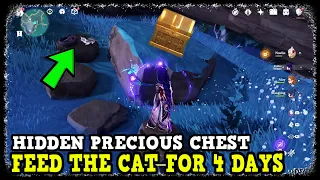 Genshin Impact Hidden Precious Chest on Seirai Island (Feed the Cat for 4 Days)