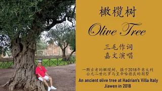 橄榄树/三毛/Chinese Song "Olive Tree"/Jiawen