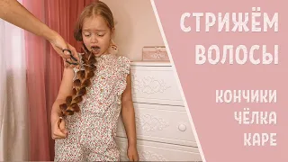 СТРИЖЁМ ВОЛОСЫ