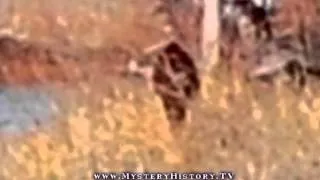 Bigfoot Found In Hutchinson, Kansas