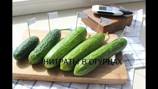 Нитраты в огурцах