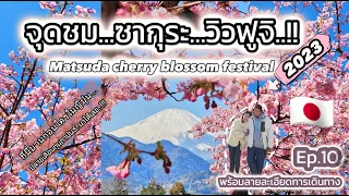 🇯🇵Matsuda cherry blossom festival..2023..ซากุระแรกของปี..พร้อมวิธีเดินทาง🇯🇵11คืน12วัน|Ep.10|Day10