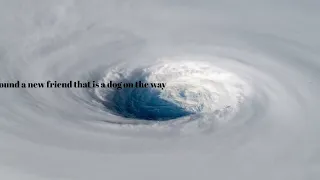 I Survived: Hurricane Katrina - Book Trailer by BriAnna