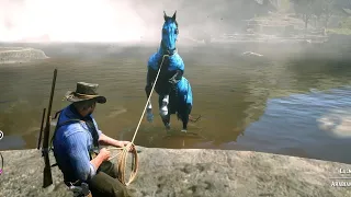 Arthur catch a most expensive Horse - Rdr2 Gameplay.