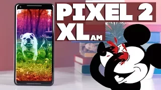 Google Pixel 2 XL - полный обзор смартфона - Keddr.com