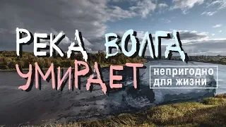 Река Волга умирает! Экологическая катастрофа неизбежна.