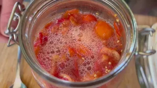 FERMENTING Tomatoes | Full Preservation Process