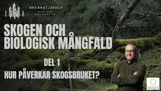 Skogen och biologisk mångfald - Del 1