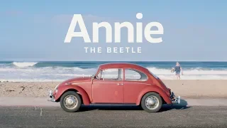 Annie the Beetle | Owner Spotlight