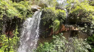 Blackdown Tablelands - 5mins before Rainbow Falls