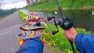 Urban canal jerkbait fishing for pike!