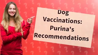 How Can I Protect My Dog with Purina-Recommended Vaccinations?