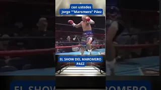 Maromero Páez un #show en el #boxeo #boxeador #box #boxing #sports #viral #shortvideo #youtubeshorts