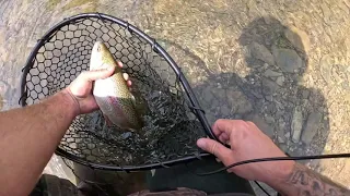 Trout fishing Trout Creek, in Slatington PA.