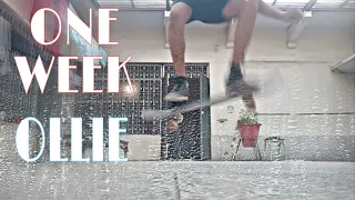 One Week Ollie Challenge | Ollie Progression | Skateboarding