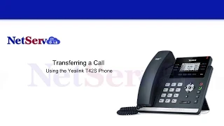 Yealink T42S Transferring Calls NetServ Hosted