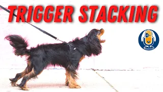 Stressed Dog? How Trigger Stacking Might Be Putting Your Dog Over Threshold #112