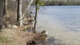 Cozy Getaway on Chain Lake & on the trail system in St. Ignace, Michigan