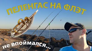 Пытаемся словить пеленгаса на флэт. Бердянск  04 08 2020