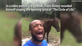 Man belts out "Lion King" song and donkey joins in for hilarious duet