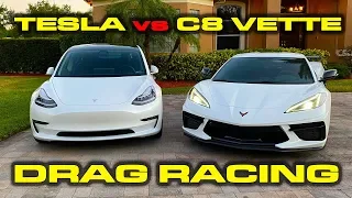 STRADMAN C8 CORVETTE vs TESLA * 2020 Chevy Corvette C8 vs Tesla Model 3 Performance * PLUS TESTS