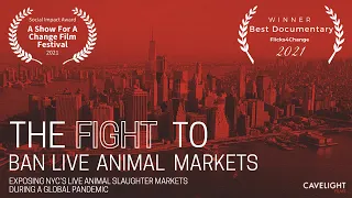 The Fight to Ban Live Animal Markets