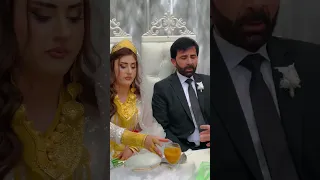 Safalı ailesi• Yüksekova düğünleri