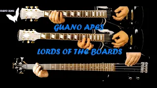 Guano Apes - Lords Of The Boards guitar and bass cover with lyrics (instrumental version)