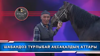 ATАҚТЫ ТҮЙЕ ҚАРА АТТЫ ТҰЛПАР ( Уакыт керек )