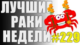 ЛРН выпуск №229 🤪 РАКООБРАЗНАЯ ЭКСКУРСИЯ и АНТИМАТЕРИАЛЬНЫЕ СНАРЯДЫ [Лучшие Раки Недели]