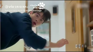 Cha Eun Woo Saved by Park Gyu Young? 😂 | Viu Original, A Good Day to be a Dog 🐶