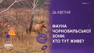 Як живуть тварини у Зоні відчуження