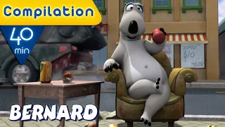 Bernard Bear | Leisure time COMPILATION | 40 MIN | Cartoons for Children | Full Episodes