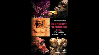 Читаем. Александр Марков. "Эволюция человека. Обезьяны"