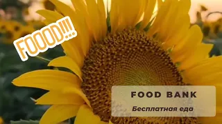 Бесплатная еда в Америке. Food bank. Charlotte