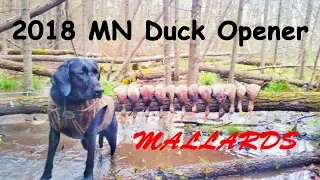 2018 Minnesota Duck Opener