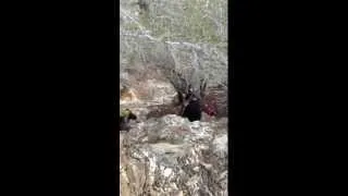 Hiking Bonita Falls Lytle Creek Southern California Fontana waterfalls climbing