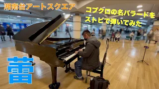 コブクロの名バラードを弾いてみた。「蕾」【ストリートピアノ】