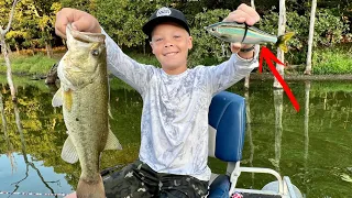 Searching for Pond Monsters with Giant Bait!