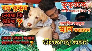 Galiff Street Pet Market Kolkata | Cheapest Dogs Market In India | Dog Price | Gallif Street Kolkata