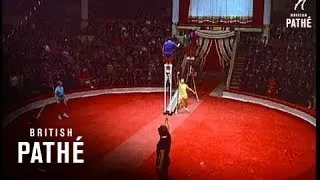 Moscow Circus (1965)