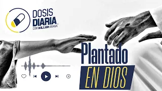 Dosis Diaria Roka -Plantado en Dios