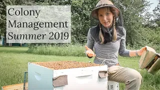 Colony Management Summer 2019