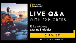 Explorer Classroom | Protecting the Ocean with Erika Woolsey