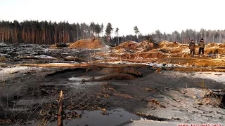 На Житомирщині продовжують шукати рецепти, як подолати «бурштинову лихоманку» - Житомир.info